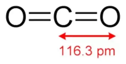 Углекислый газ
